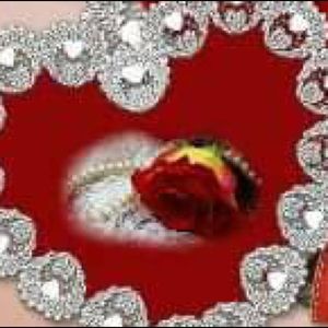 Meet your Posher, Lina